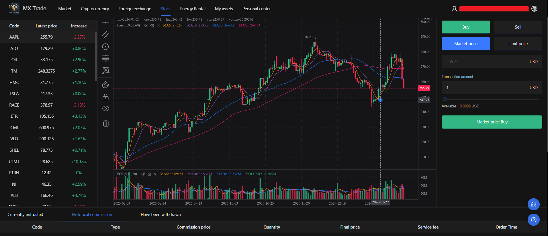Basic trading terminal for spot and binary options, with very limited features compared to standard industry tools.